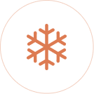 Winter Promotions